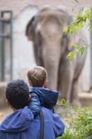 bambini a il zoo foto