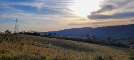 rurale natura paesaggio nel il interno di brasile nel un' eucalipto azienda agricola nel il mezzo di natura foto