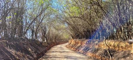 azienda agricola paesaggio Visualizza nel il campagna di brasile foto