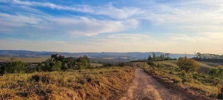 eucalipto piantagione azienda agricola nel soleggiato giorno nel brasile campagna su sporco strada foto