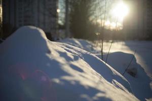 dettagli di parco nel inverno. freddo inverno leggero su superficie di neve. foto