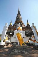 gruppo di statua di buddha con pagoda, wat yai chaimongkol, thailandia