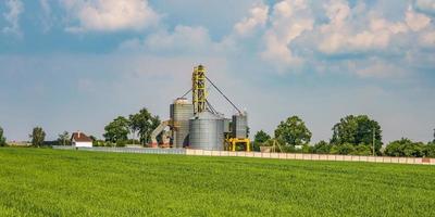 agro silos elevatore per granaio su impianto di produzione agro-lavorazione per la lavorazione, essiccazione, pulizia e stoccaggio di prodotti agricoli, farina, cereali e grano. foto