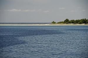 Maldive tropicale Paradiso spiaggia cristallo acqua Noce di cocco albero isola foto