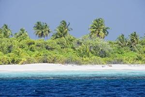 Maldive tropicale Paradiso spiaggia cristallo acqua Noce di cocco albero isola