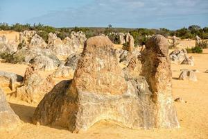 pinnacoli parco nel ovest Australia foto