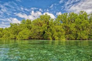 siladen turchese tropicale Paradiso isola foto