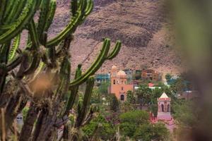 messicano paesaggio con cactus, Due chiese e montagne nel il sfondo tierra blanca guanajuato Messico foto