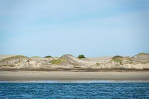 oceano spiaggia sabbia dune dettaglio foto