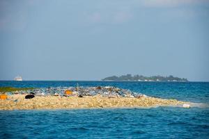 Maldive sciocchezze isola spazzatura plastica foto