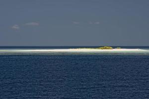 Maldive tropicale Paradiso spiaggia cristallo acqua Noce di cocco albero isola foto