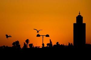 maroc Marrakech tramonto Visualizza con un' cicogna volante foto