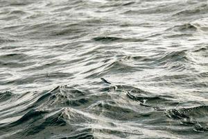 volante pesce al di sopra di blu oceano foto