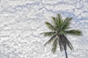 siladen turchese tropicale Paradiso isola foto