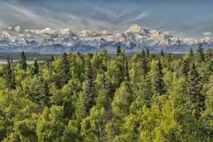 denali parco montare mc kinley panorama foto