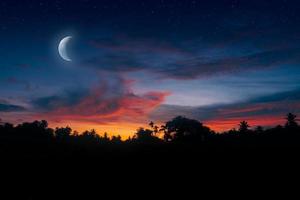 drammatico notte paesaggio nel foresta foto