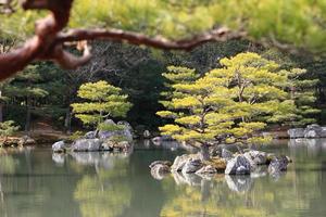 giardino giapponese al famoso kinkakuji foto