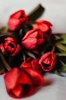 fiori di tulipano rosso foto