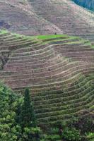 collina con terrazzato riso risaia nel dazhai villaggio foto