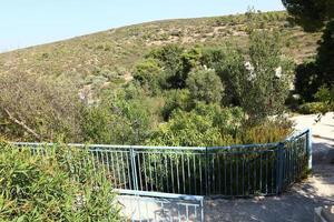 recinto nel il città parco su il sponde di il mediterraneo mare. foto