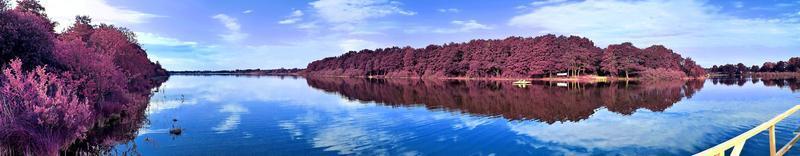 bellissimo e colorato fantasia paesaggio nel un asiatico viola infrarosso stile foto