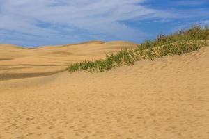 maspalomas duna - deserto nel canarino isola nonna canaria foto