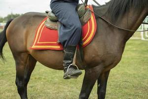 ciclista cavalcate cavallo. uomo a partire dal cosacco fratellanza. foto