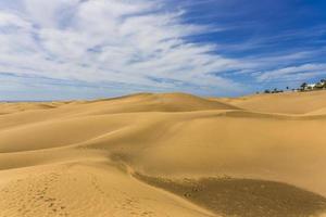 maspalomas duna - deserto nel canarino isola nonna canaria foto