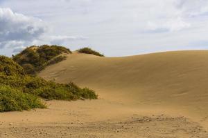 maspalomas duna - deserto nel canarino isola nonna canaria foto