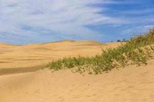 maspalomas duna - deserto nel canarino isola nonna canaria foto