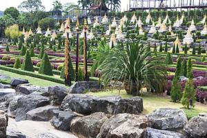 nong nooch tropicale giardino foto