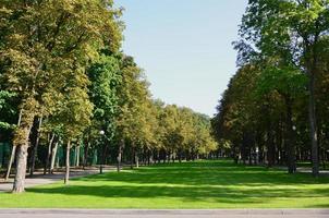 verde e arancia alberi nel bellissimo parco. floreale e naturale autunno paesaggio foto