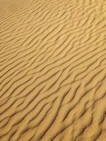 linee nella sabbia foto