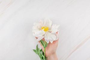 fiori di peonia bianca su fondo di marmo foto