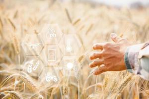 inteligente agricoltura concetto. contadino con tecnologia digitale tavoletta su sfondo di Grano campo. professionale agricoltori uso Internet di cose IoT computer sistema per gestire fattorie. agricoltura moderno idea. foto