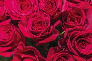 luminosa mazzo di bellissimo rosso Rose come un' regalo avvicinamento foto