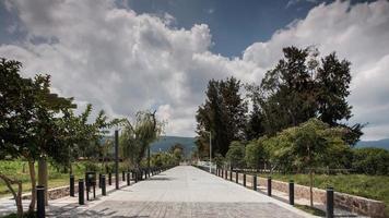 un' laguna, con Barche nel il sfondo, un' bianca cavallo mangiare, un' pergola e panchine su il Giusto. un' pergola e panchine foto