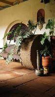 pietra ruota tra pentole e impianti, nel un vecchio Casa nel Messico latino America foto