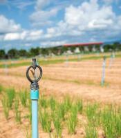 irrigazione a pioggia per il campo agricolo nel paese in via di sviluppo foto