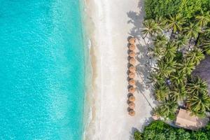 aereo Visualizza di gli ombrelli, palme su il sabbioso spiaggia di indiano oceano. tropicale paesaggio con palma alberi, ombrelloni, le persone, sabbia, blu acqua, onde. superiore Visualizza, estate vacanza paesaggio. foto