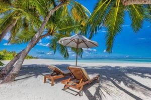 soleggiato tropicale spiaggia natura, estate isola con sala sedie e palma albero le foglie. sorprendente mare Visualizza, orizzonte. lusso viaggio paesaggio, bellissimo destinazione scenico, esotico vacanza o coppia vacanza foto