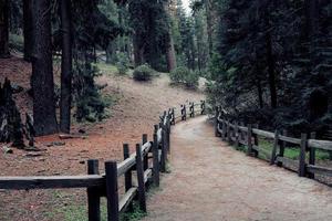 staccionata in legno marrone su strada sterrata foto