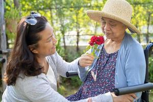 figlia del caregiver abbraccia e aiuta asiatica anziana o anziana signora anziana che tiene una rosa rossa su sedia a rotelle nel parco. foto