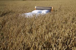 letto in un campo di grano - concetto di buon sonno foto
