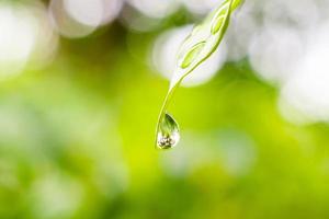 goccia d'acqua piovana sullo sfondo naturale del primo piano della foglia verde foto