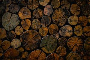 mucchio impilati naturale segato di legno logs sfondo parete. il giro teak legna ceppo sfondo. foto
