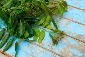 natura fresca neem sul vecchio blu di legno foto