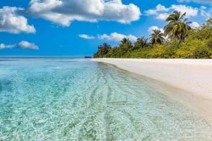 Paradiso isola spiaggia. tropicale paesaggio di estate scenico, mare sabbia cielo con palma alberi. lusso viaggio vacanza destinazione. esotico spiaggia paesaggio. sorprendente natura, relax, la libertà natura modello