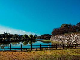 il Visualizza di foresta o parco nel Giappone per rilassare con blu cielo foto