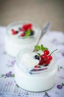 yogurt fatto in casa foto